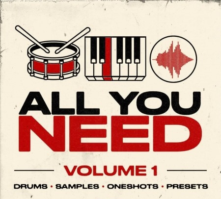 AYN Sounds All You Need Vol.1 (Multi-Kit) WAV Synth Presets